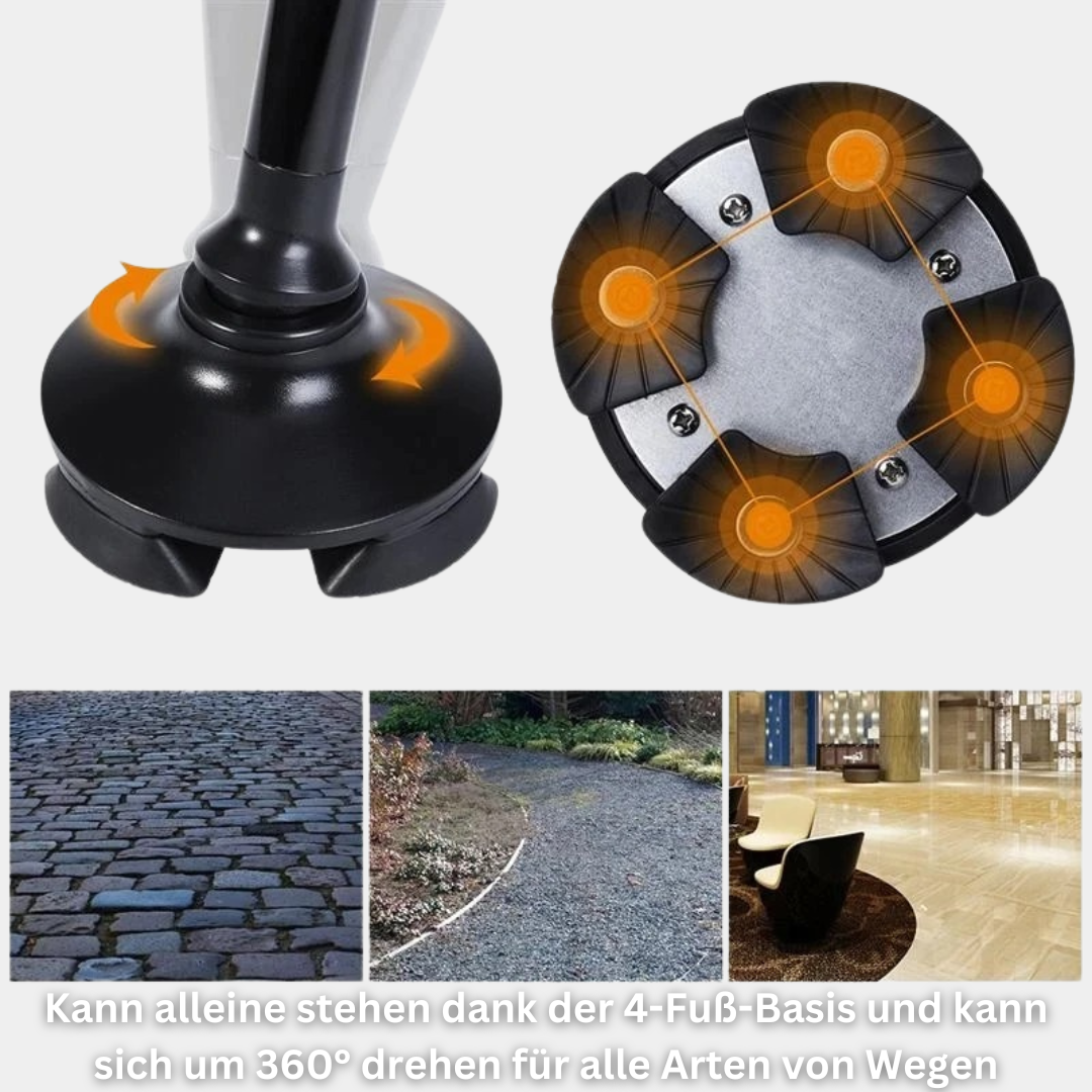 SafeStep Pro